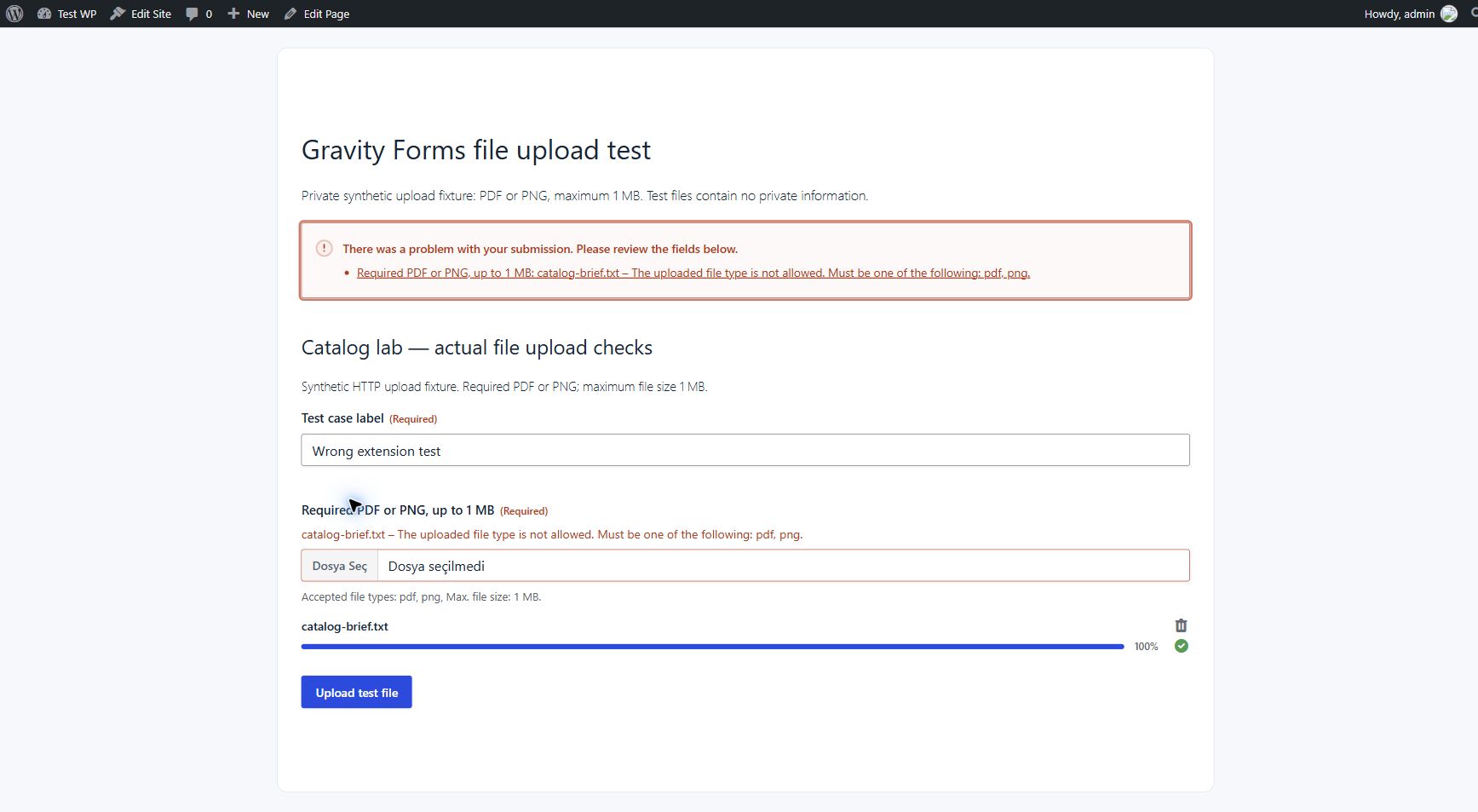 Gravity Forms rejecting the synthetic TXT file and listing PDF and PNG as allowed